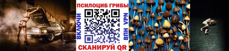 где купить наркоту  Пролетарск  Псилоцибиновые грибы прущие грибы 